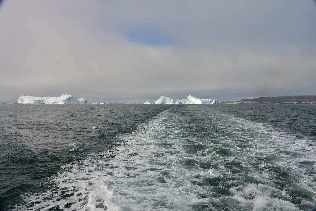 DSC_0240.JPG