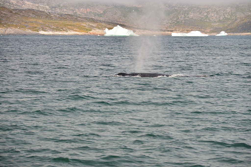 DSC_0249.JPG