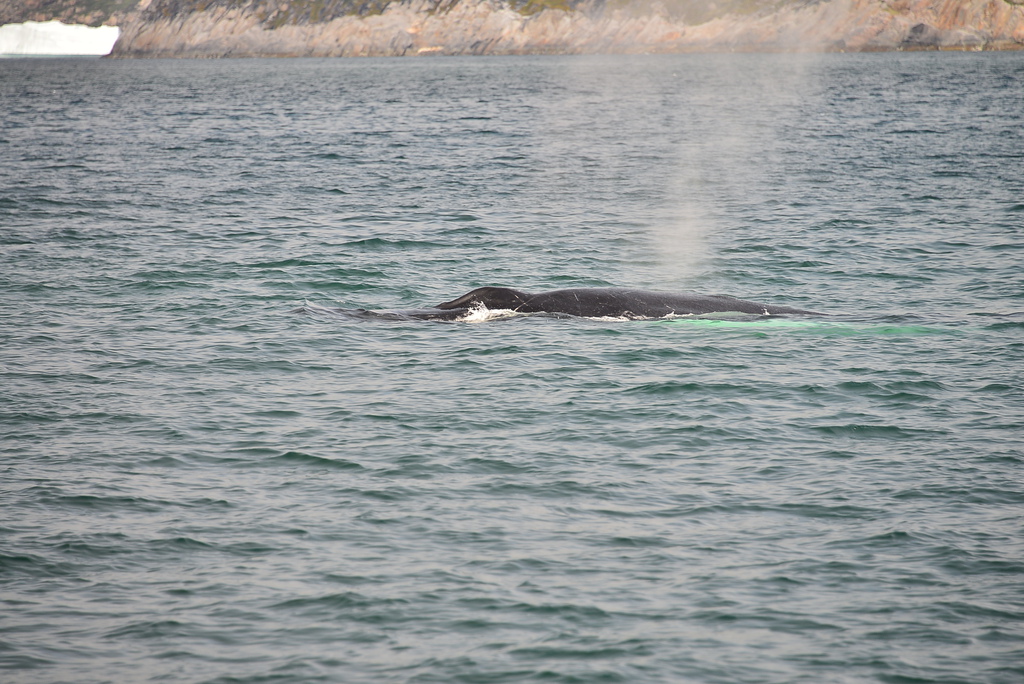 DSC_0254.JPG