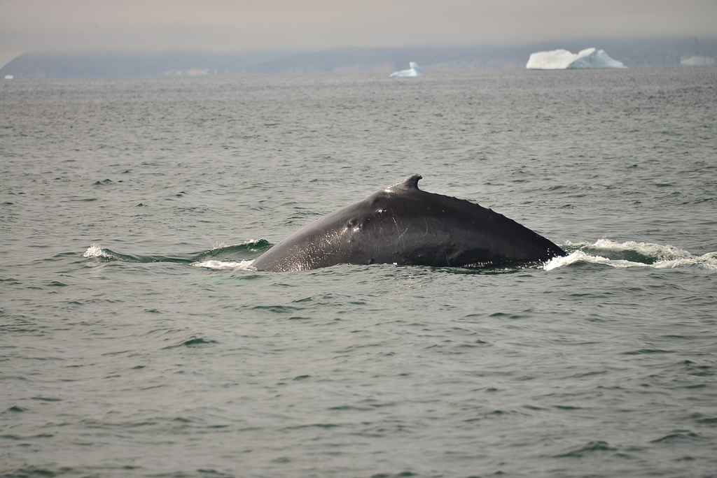 DSC_0267.JPG