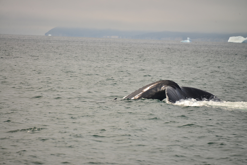 DSC_0269.JPG