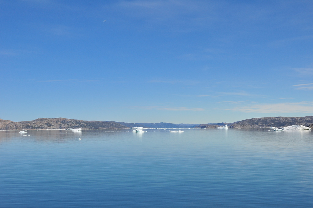 DSC_1771.JPG