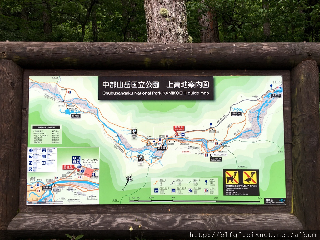 IMG_4982.JPG IMG_4982.JPG