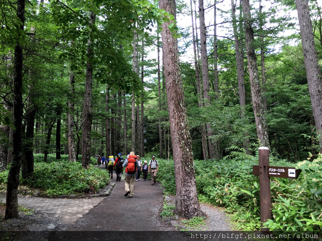 IMG_4983.JPG IMG_4983.JPG