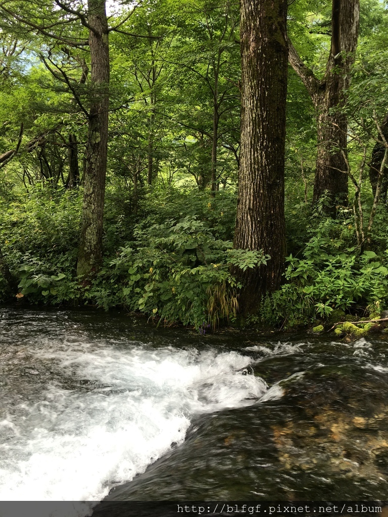 IMG_5001.JPG IMG_5001.JPG