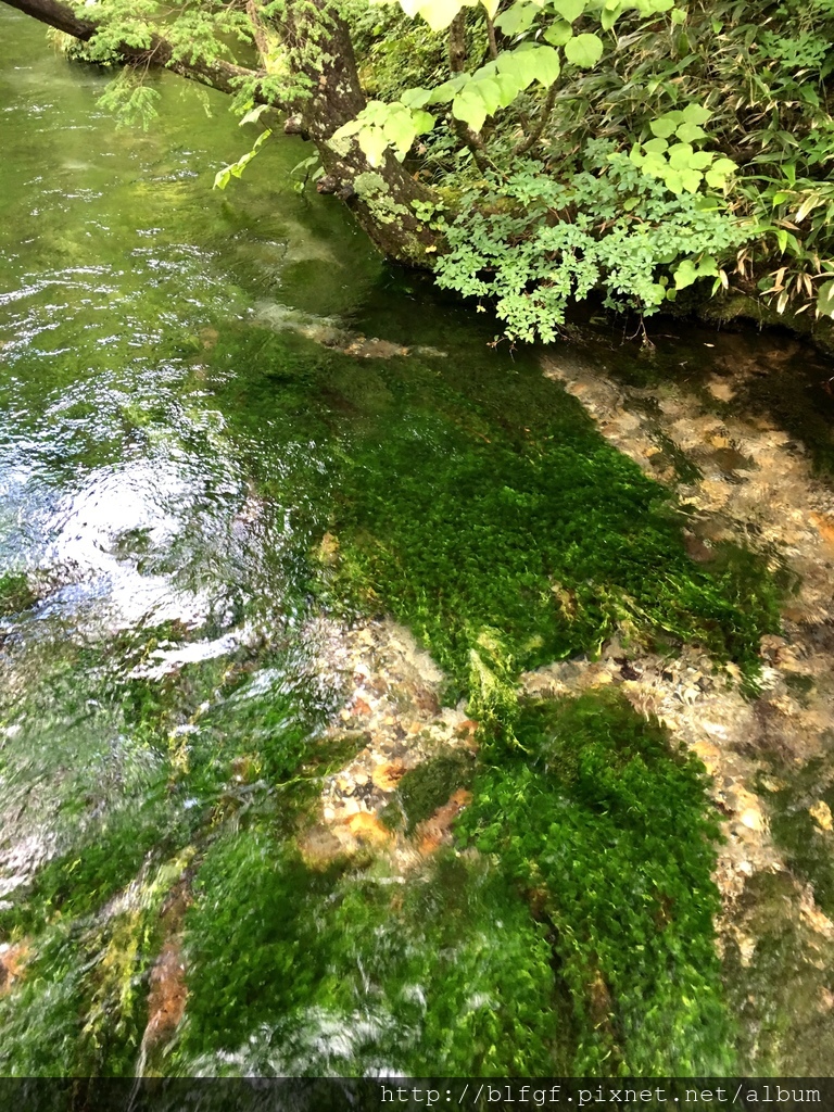 IMG_5007.JPG IMG_5007.JPG