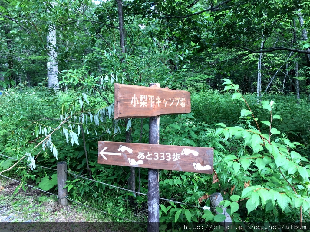 IMG_5016.JPG IMG_5016.JPG