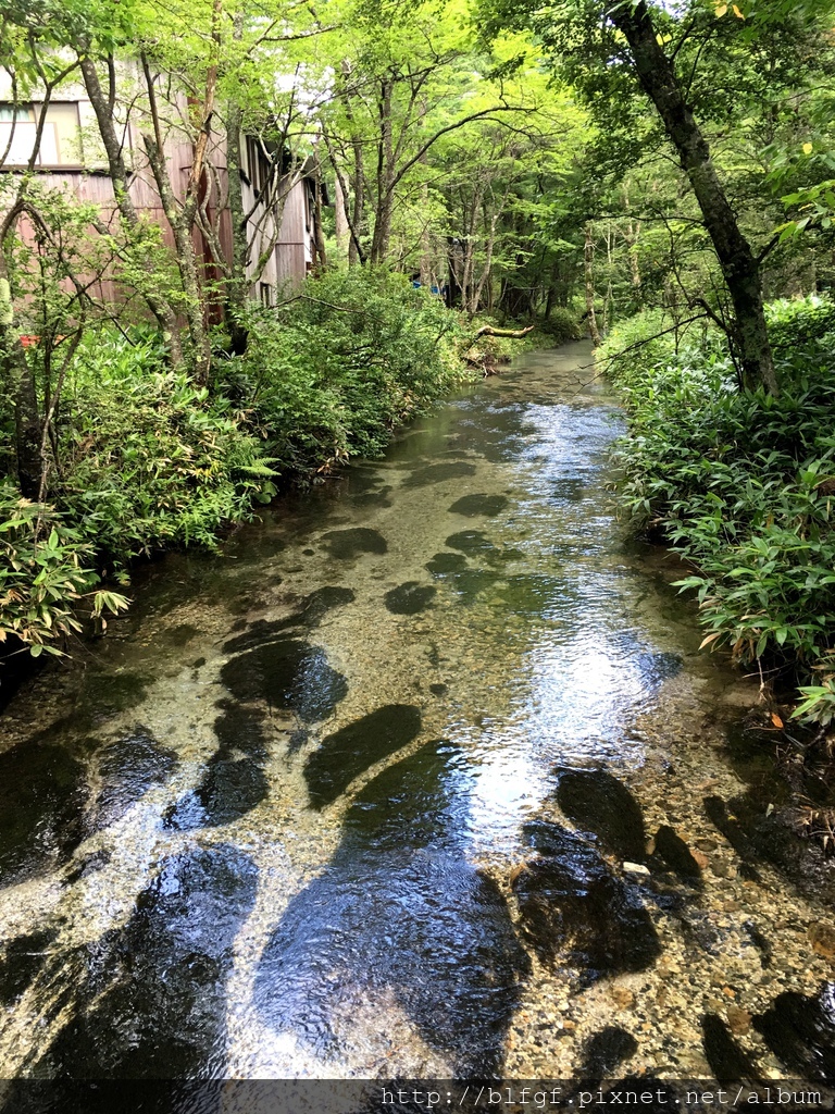 IMG_5020.JPG IMG_5020.JPG