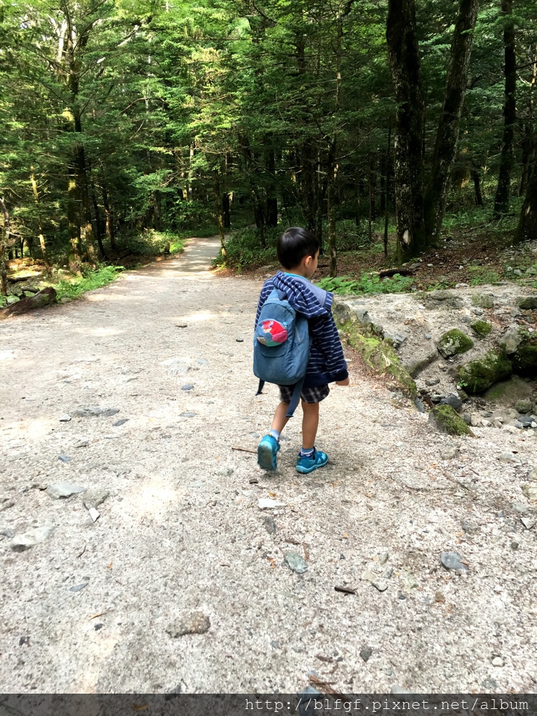 IMG_5039.JPG IMG_5039.JPG