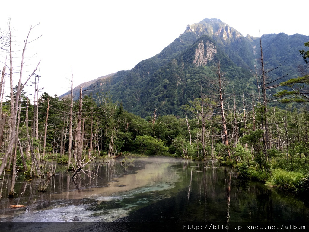 IMG_5115.JPG IMG_5115.JPG