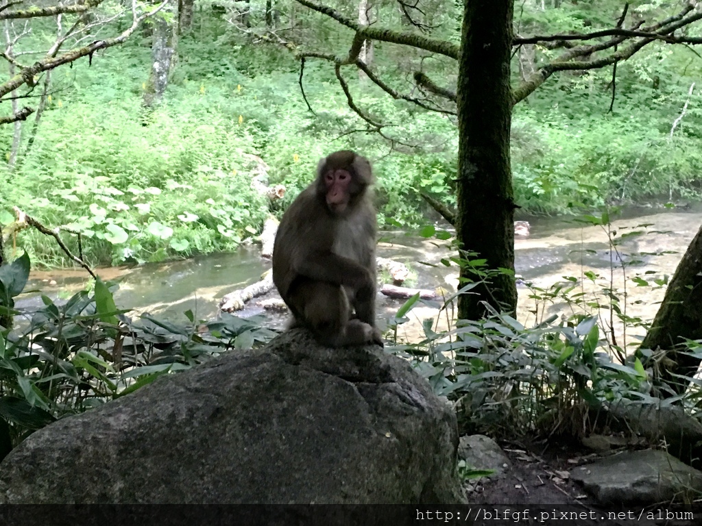 IMG_5120.JPG IMG_5120.JPG