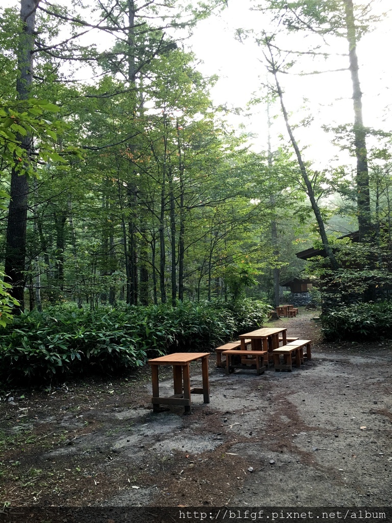 IMG_5145.JPG IMG_5145.JPG