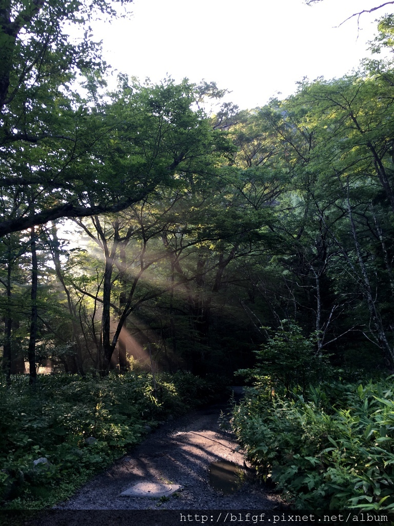 IMG_5166.JPG IMG_5166.JPG