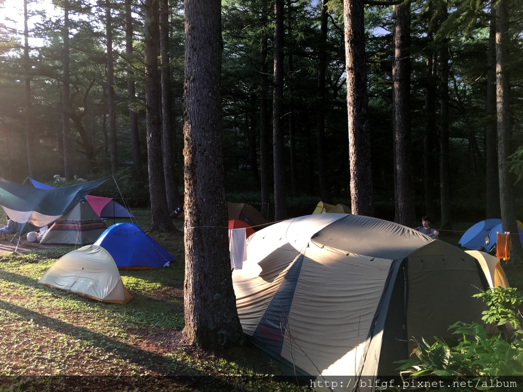 IMG_5155.JPG IMG_5155.JPG