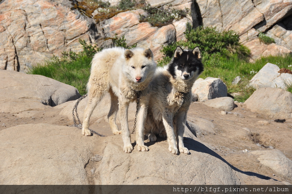 DSC_1452.JPG DSC_1452.JPG