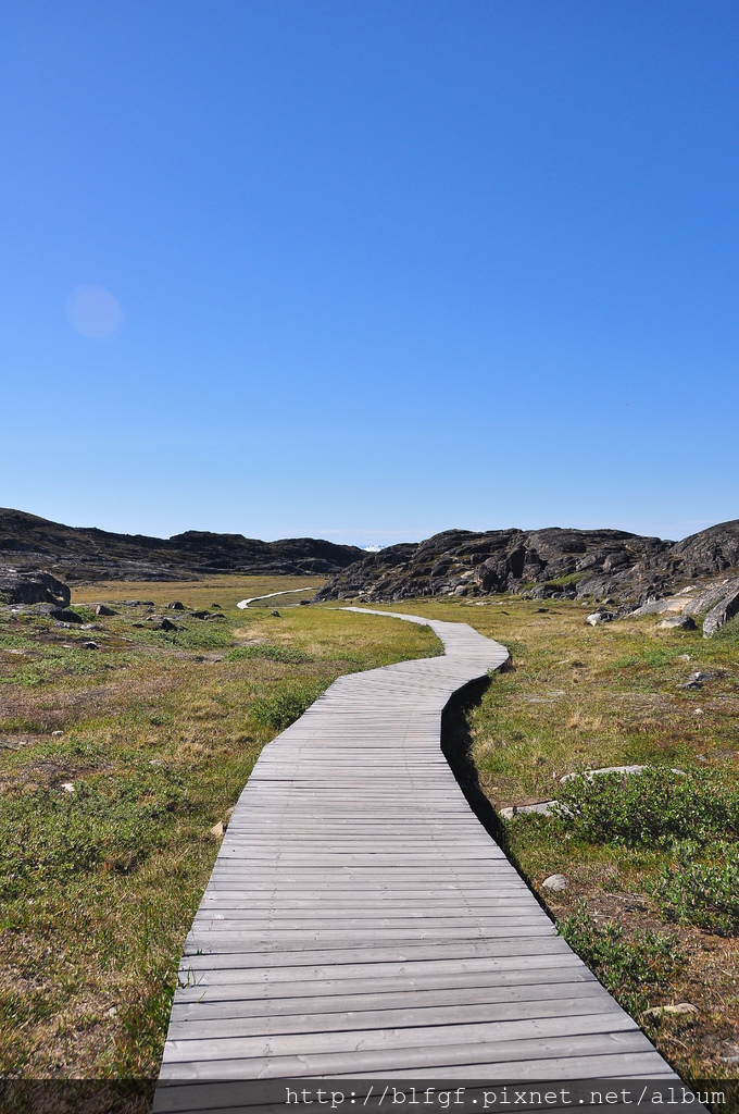 DSC_1463.JPG DSC_1463.JPG