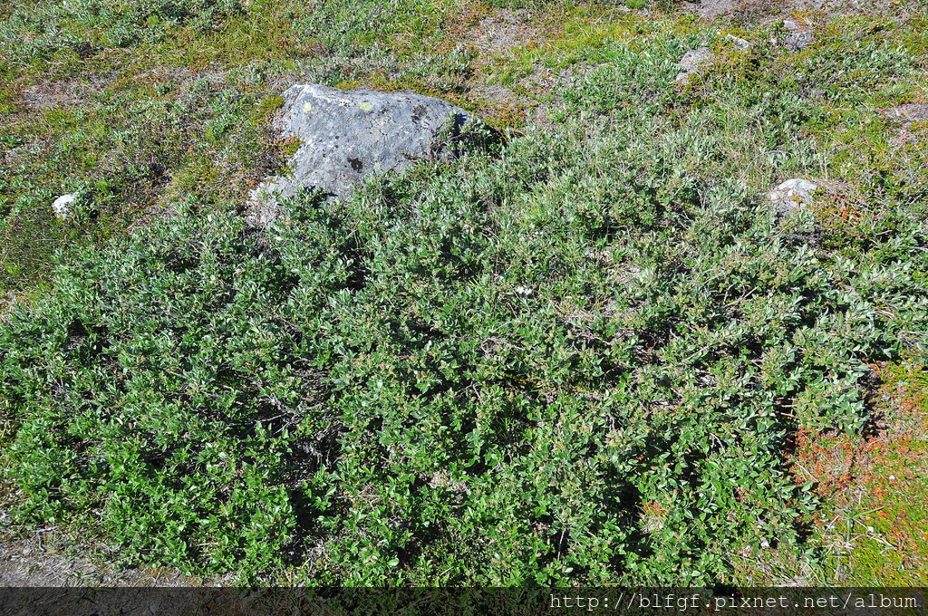 DSC_1462.JPG DSC_1462.JPG