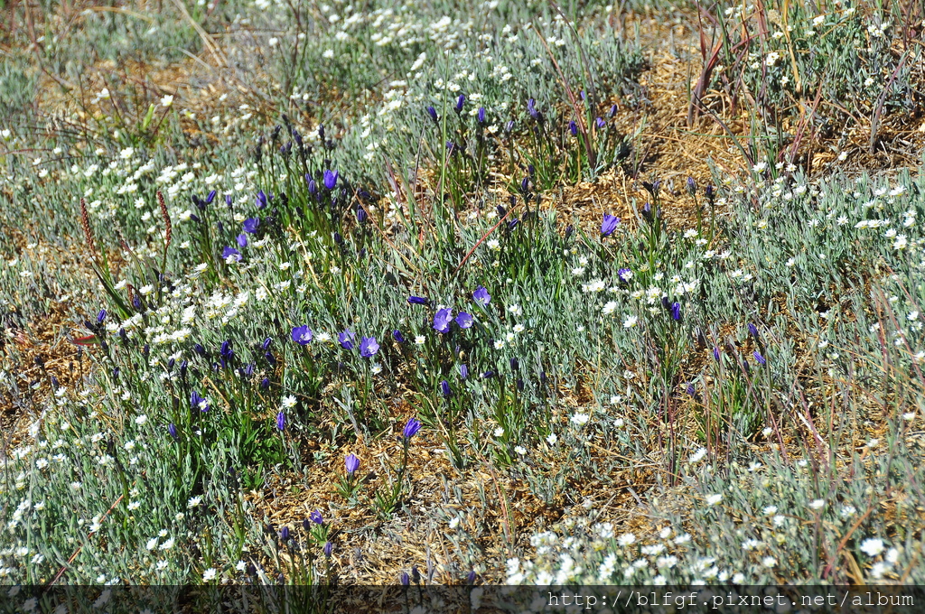 DSC_1497.JPG DSC_1497.JPG