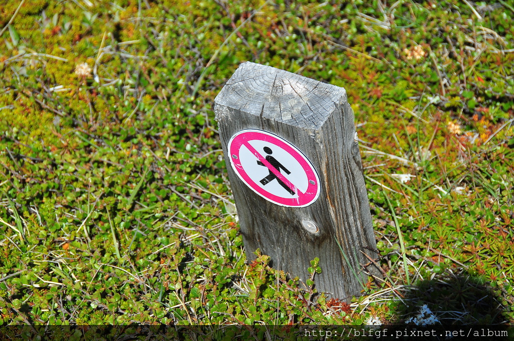 DSC_1495.JPG DSC_1495.JPG