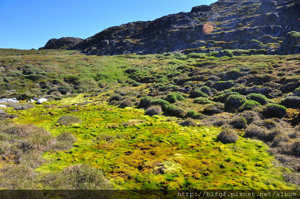 DSC_1502.JPG DSC_1502.JPG