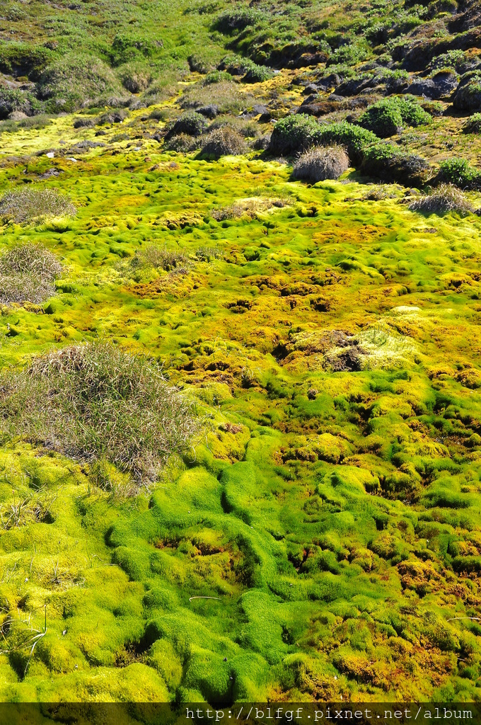 DSC_1503.JPG DSC_1503.JPG