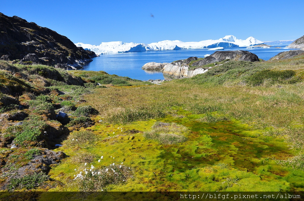 DSC_1508.JPG DSC_1508.JPG