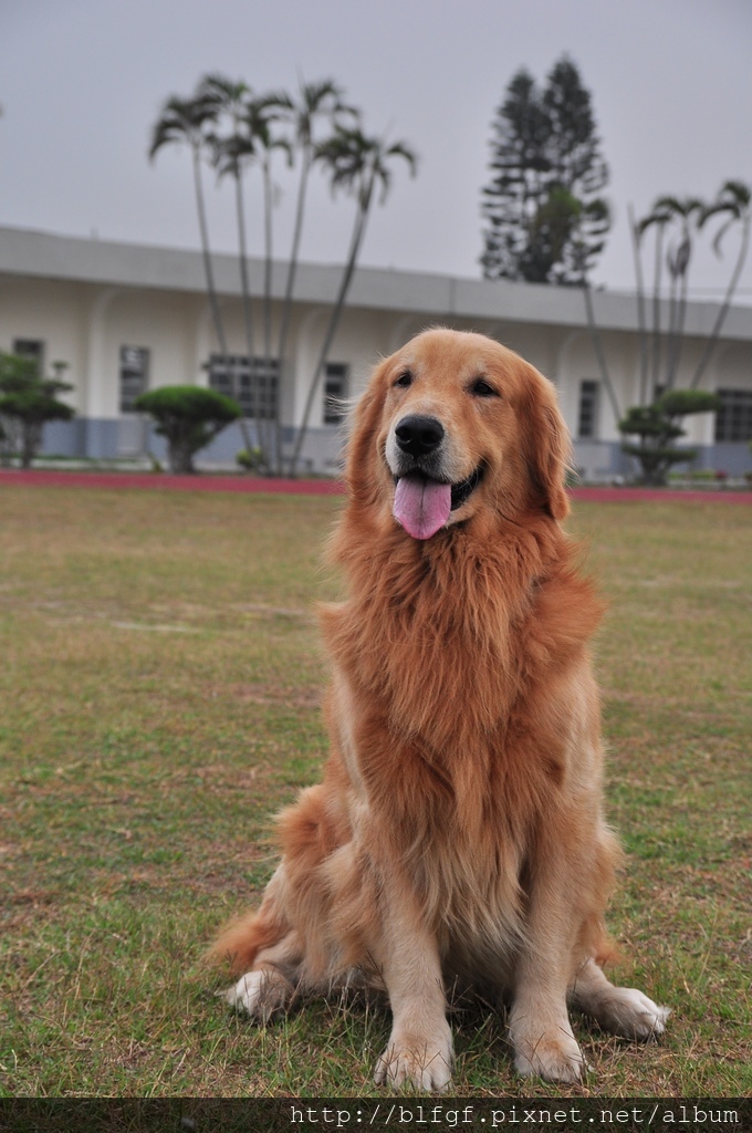 DSC_0019.JPG DSC_0019.JPG