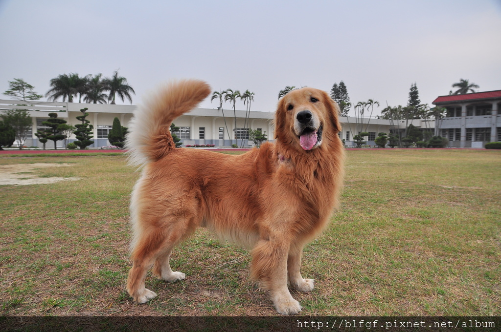 DSC_0010.JPG DSC_0010.JPG