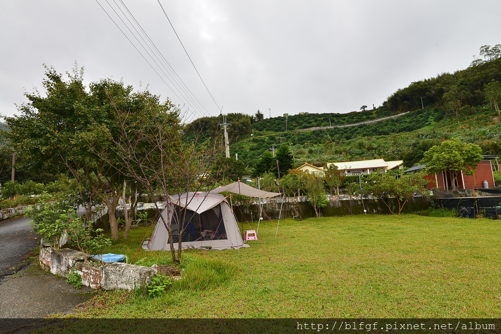 DSC_4493.JPG DSC_4493.JPG