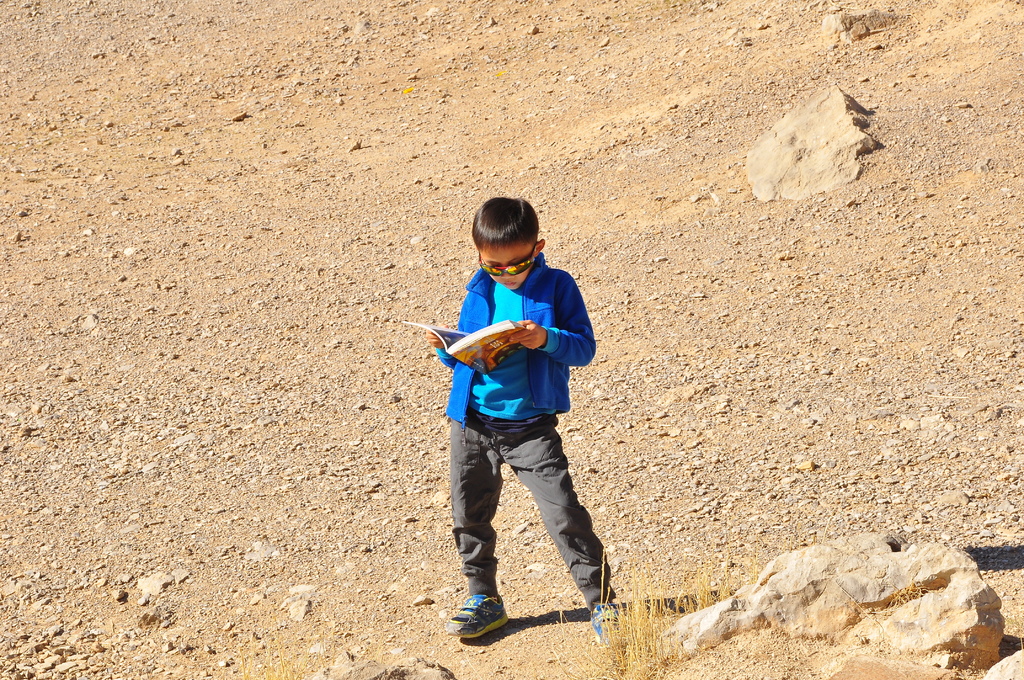 DSC_7037.JPG DSC_7037.JPG