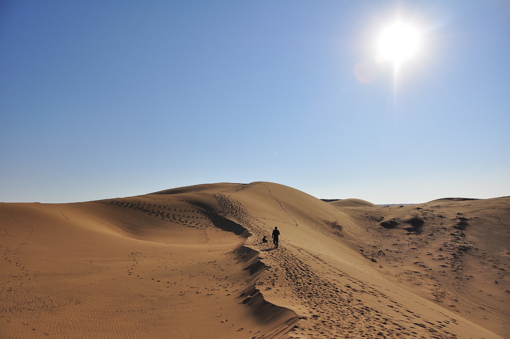 DSC_7626.JPG DSC_7626.JPG