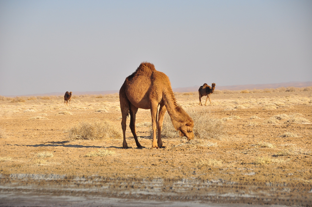 DSC_7654.JPG DSC_7654.JPG