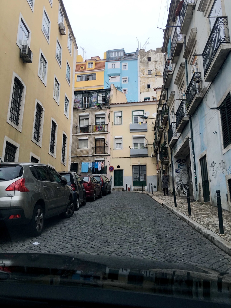 IMG_1060.JPG IMG_1060.JPG