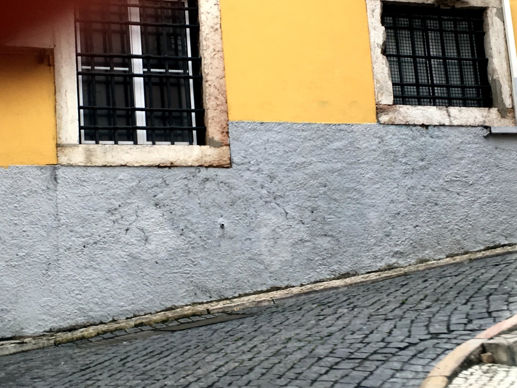 IMG_1063.JPG IMG_1063.JPG