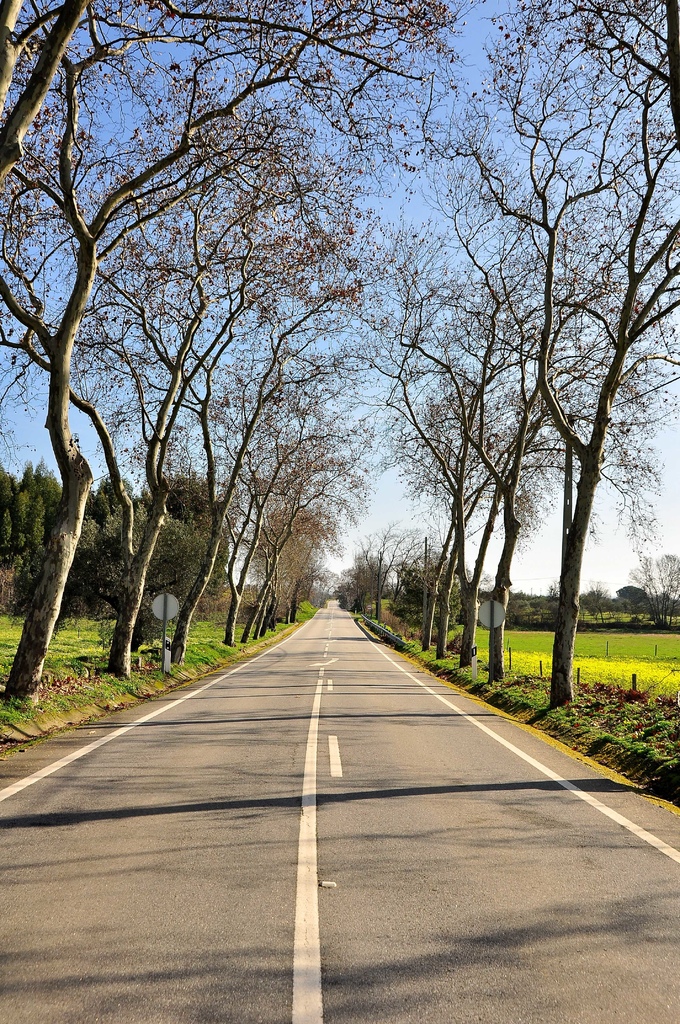 DSC_9331.JPG DSC_9331.JPG