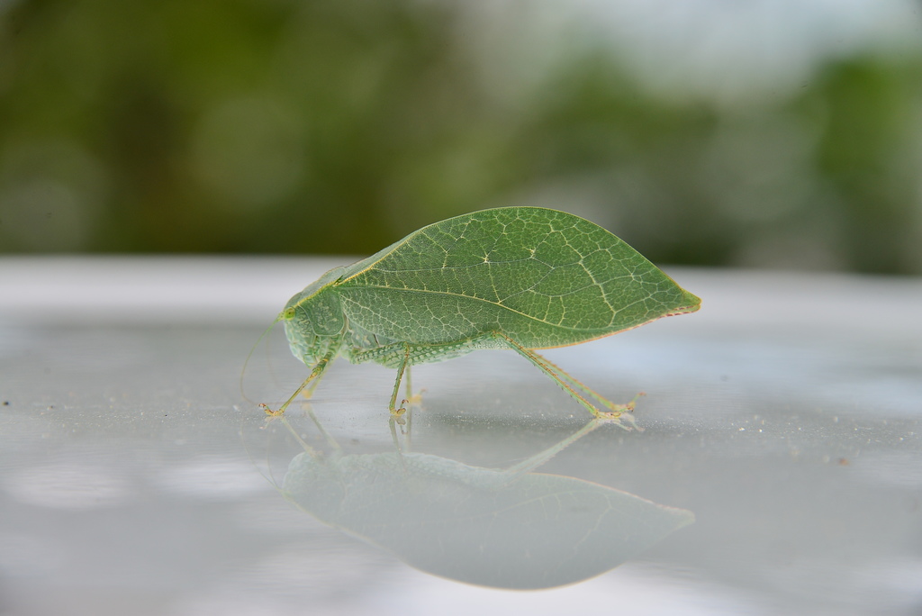 DSC_1012.JPG DSC_1012.JPG