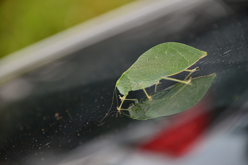 DSC_1025.JPG DSC_1025.JPG