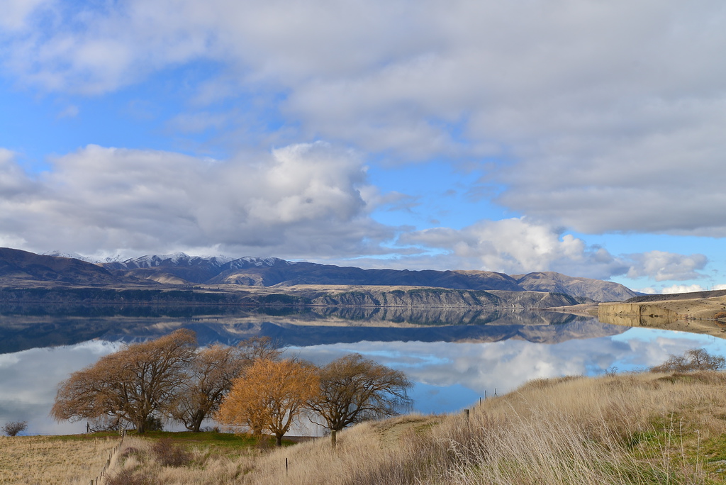 DSC_3679.JPG DSC_3679.JPG