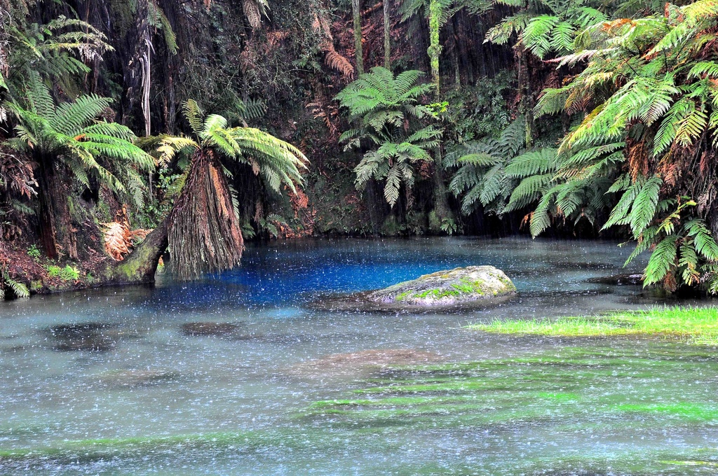 DSC_2087.JPG DSC_2087.JPG