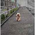 IMG_8727_nEO_IMG.jpg