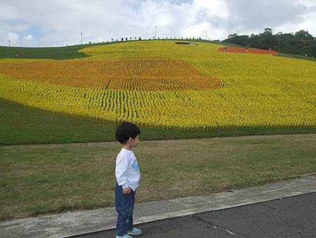 1021019翔1.10歲.到基隆擁恆生命園區看十萬隻風車打造的黃色小鴨 (6)