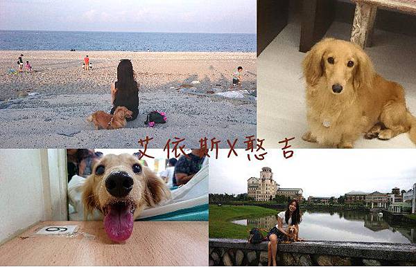 首圖.jpg