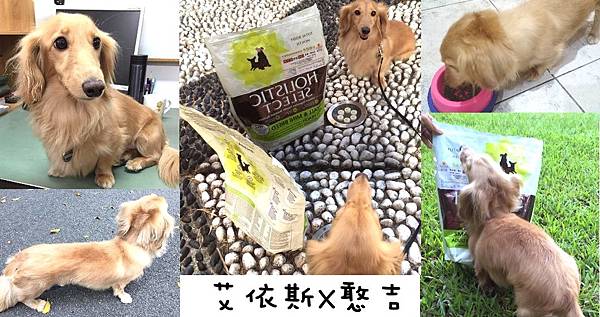 首圖.jpg 首圖.jpg