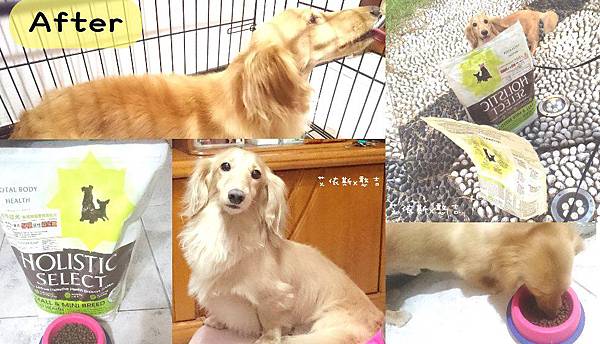 首圖.jpg 首圖.jpg