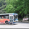 新店公車