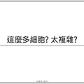 擷取2.JPG