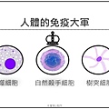 擷取1.JPG