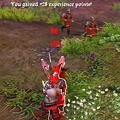 50.JPG