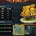 c15.jpg