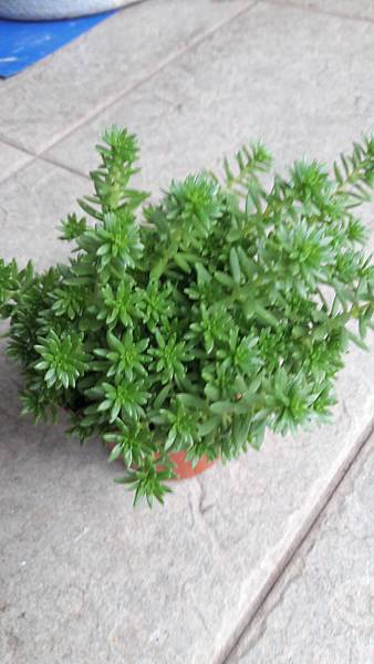 20180511_062425.jpg 20180511_062425.jpg